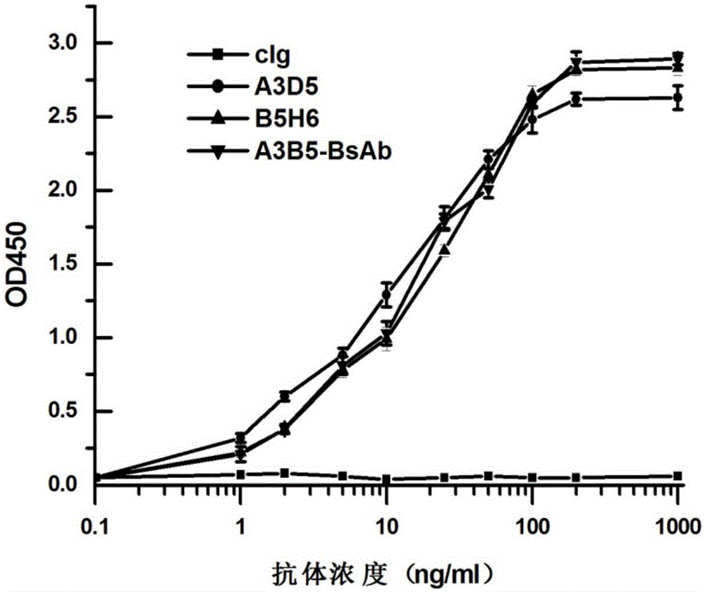 Bispecific antibody for hepatitis B surface protein, and use thereof