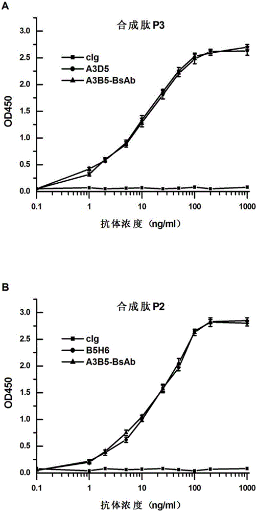 Bispecific antibody for hepatitis B surface protein, and use thereof