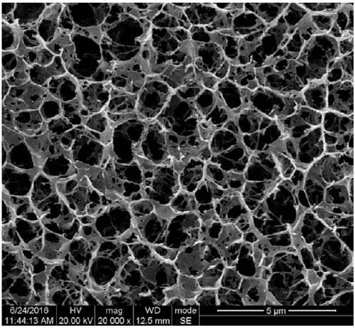 A method for grafting and modifying cellulose using supercritical carbon dioxide as a solvent