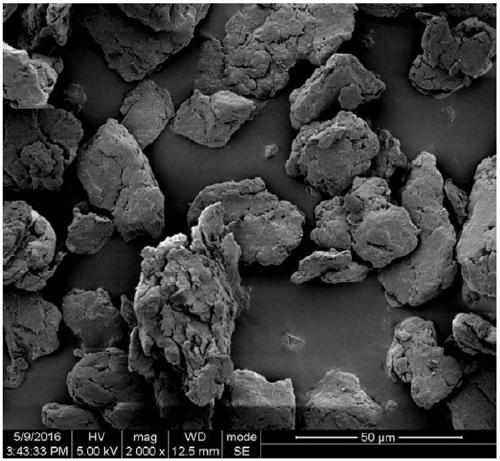 A method for grafting and modifying cellulose using supercritical carbon dioxide as a solvent