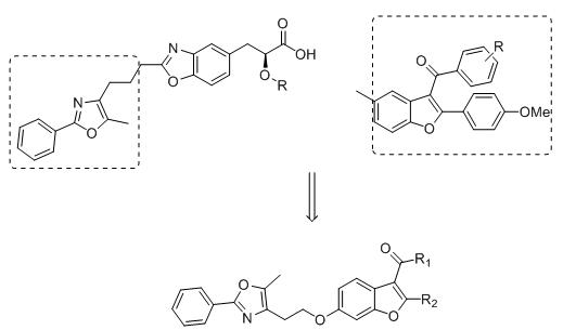 3-ketone-6-substituted-benzofuran compound as well as preparation method and application thereof