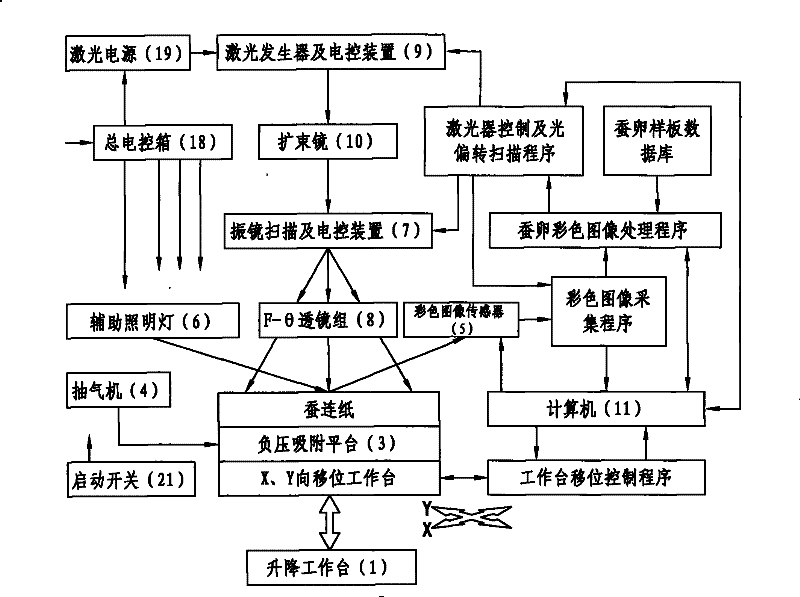 Laser instrument and method for sorting male and female graines