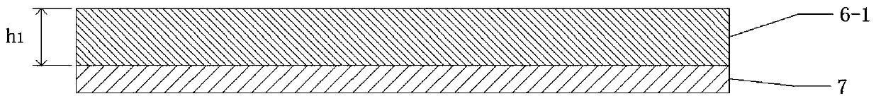 Bionic inchworm structure based on liquid crystal elastic polymer and manufacturing process thereof