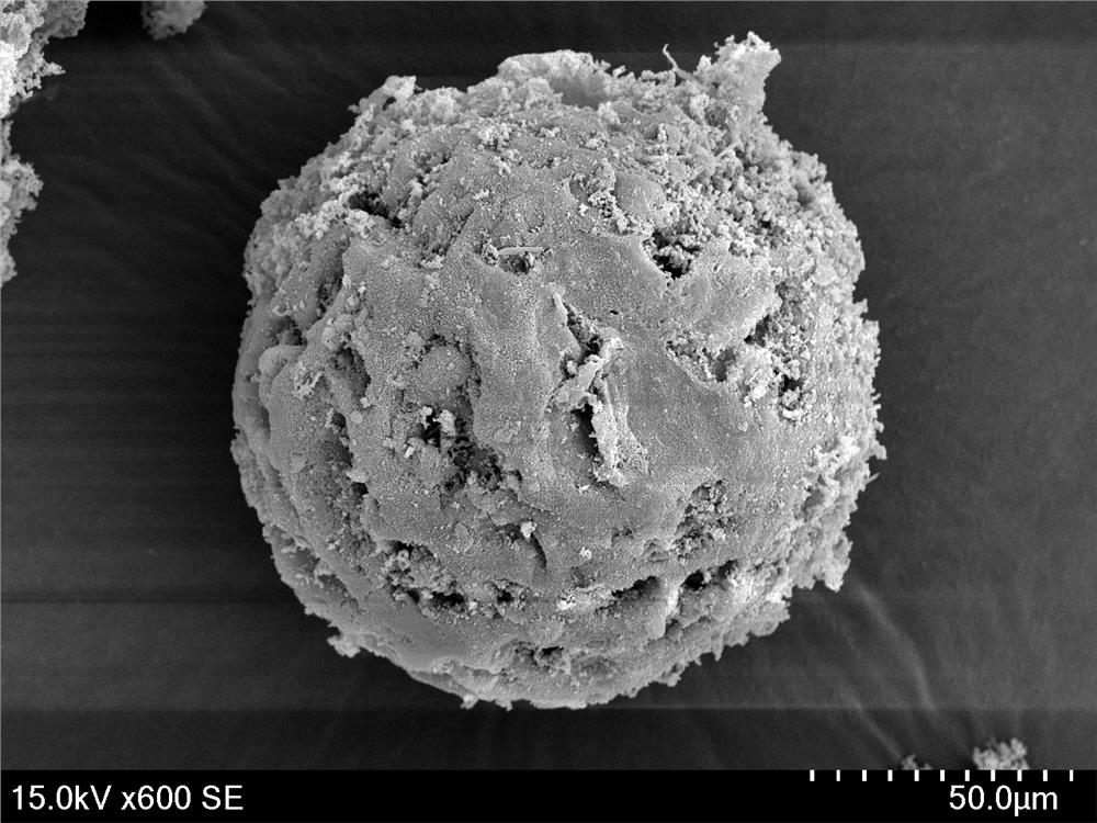 Novel method for preparing super-macroporous cellulose microspheres