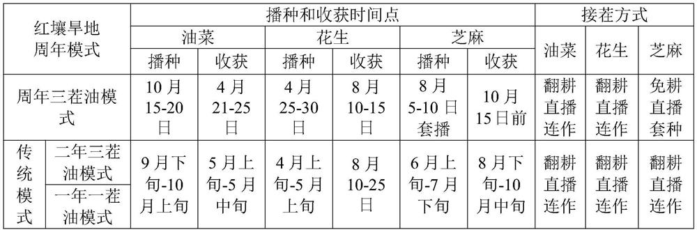 Planting method of annual three-crop oil crops in red soil dry land