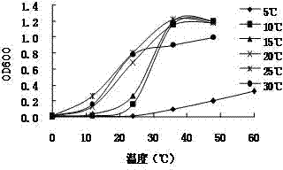 Aerobic denitrification psychrotolerant bacterium and preparation method thereof