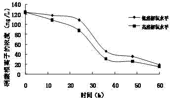 Aerobic denitrification psychrotolerant bacterium and preparation method thereof