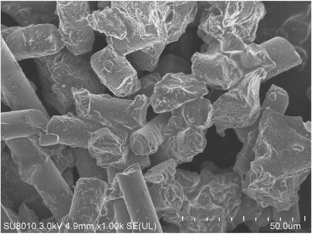 Surface modification ricinus communis fiber and preparation method and application thereof