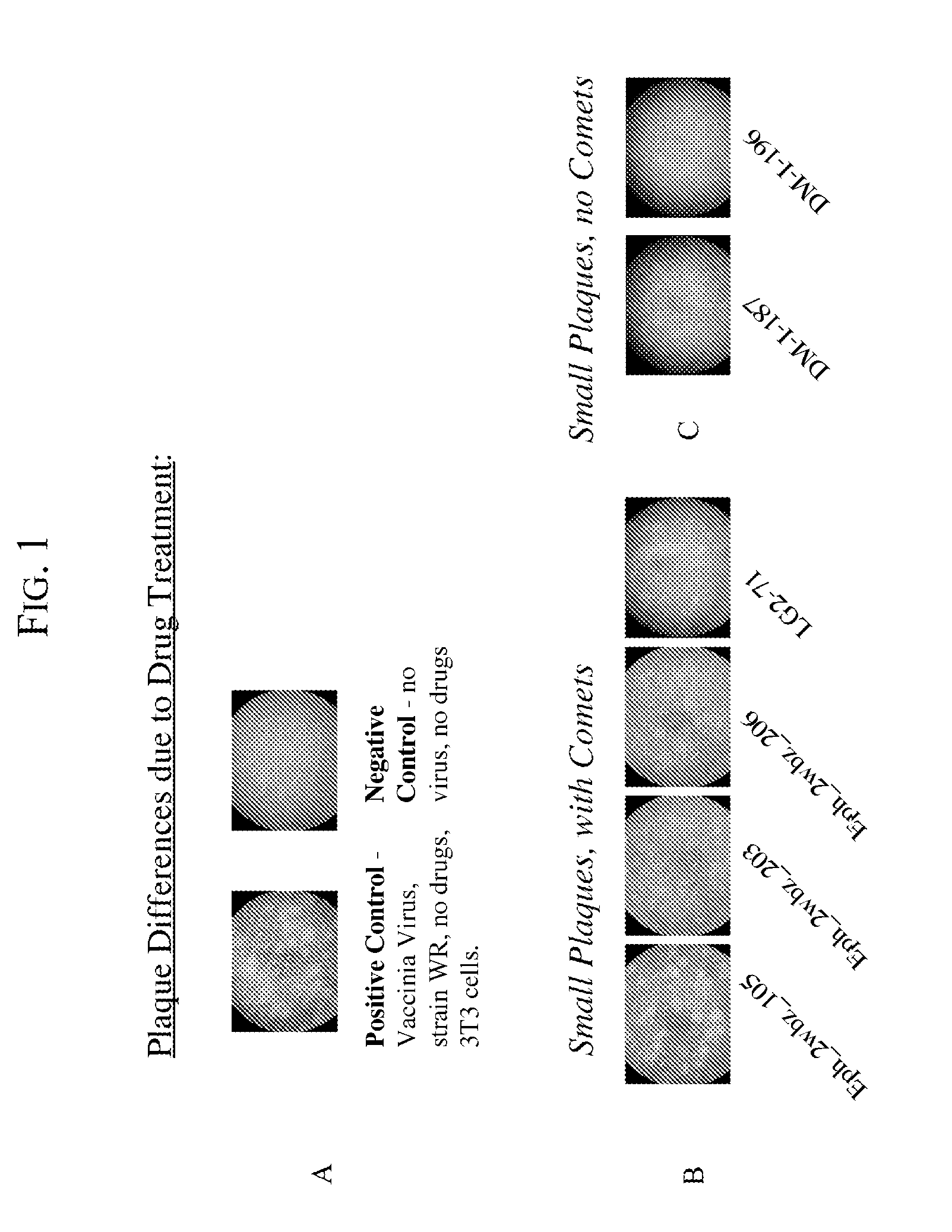 Kinase inhibitors for preventing or treating pathogen infection and method of use thereof