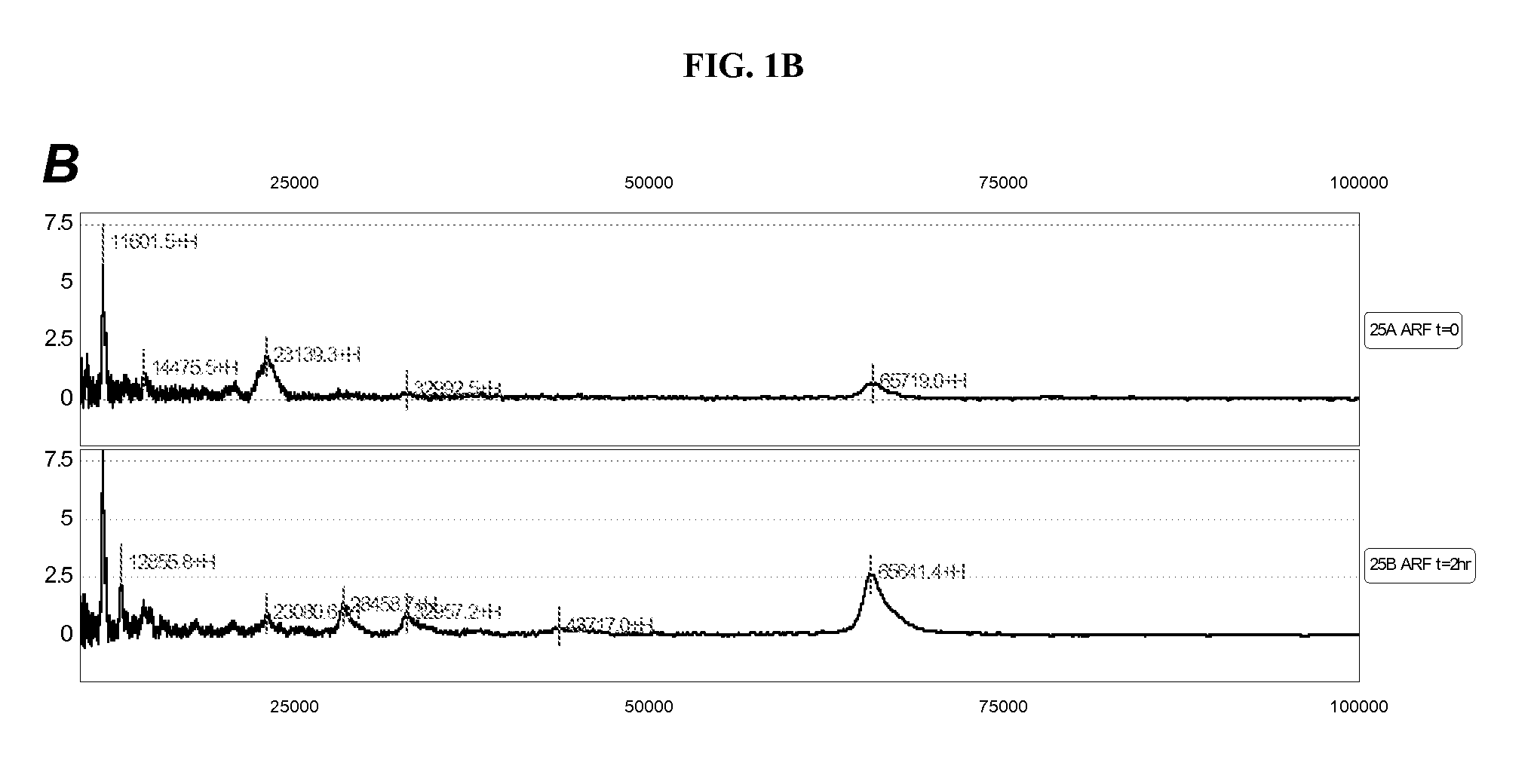 Method for the Early Detection of Renal Disease Using Proteomics