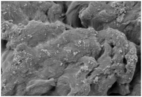 Chitosan-loaded nano-silver antibacterial polypropylene material and preparation method thereof