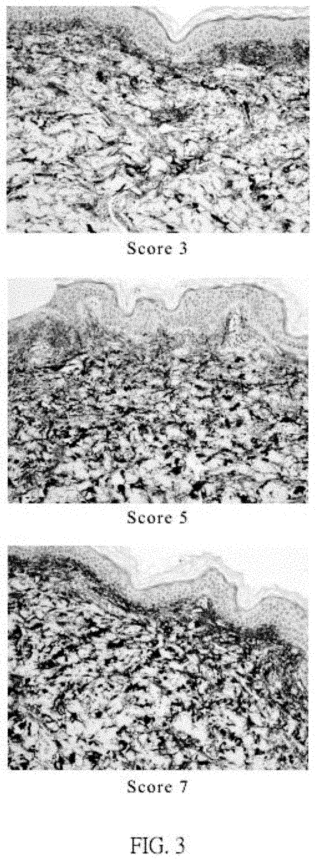 Cosmetic compositions to prevent and/or ameliorate skin aging and methods of applications