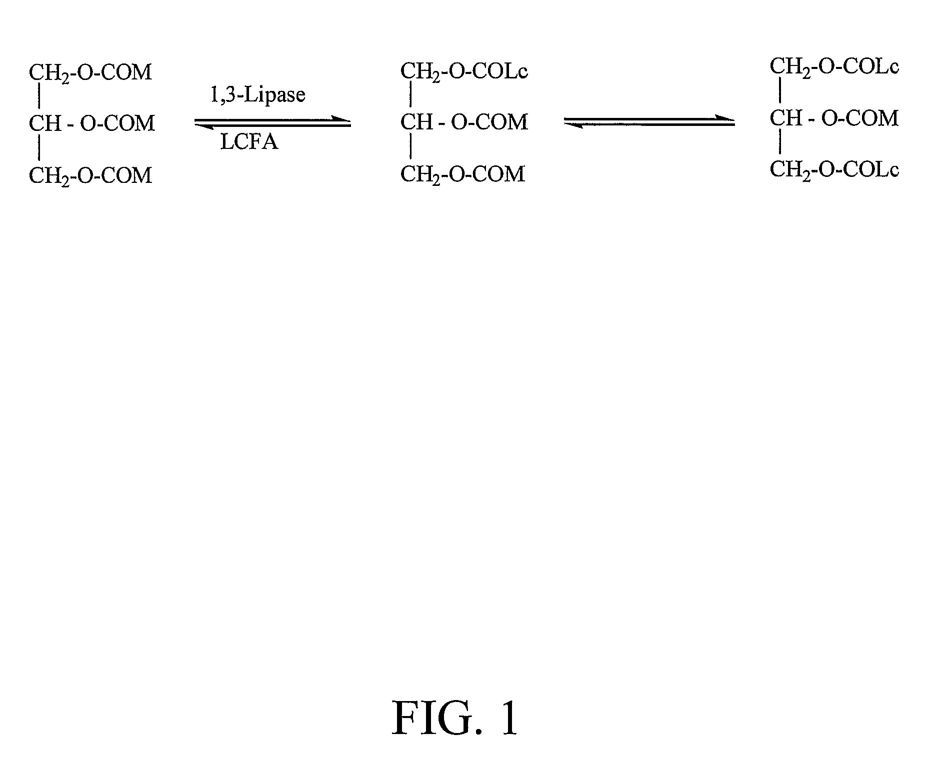 Structured triglycerides and emulsions comprising same