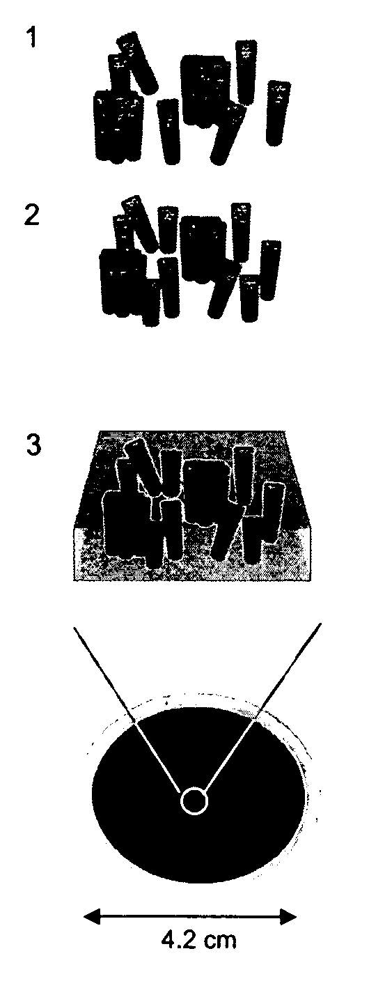 Method for making oriented single-walled carbon nanotube/;polymer nano-composite membranes