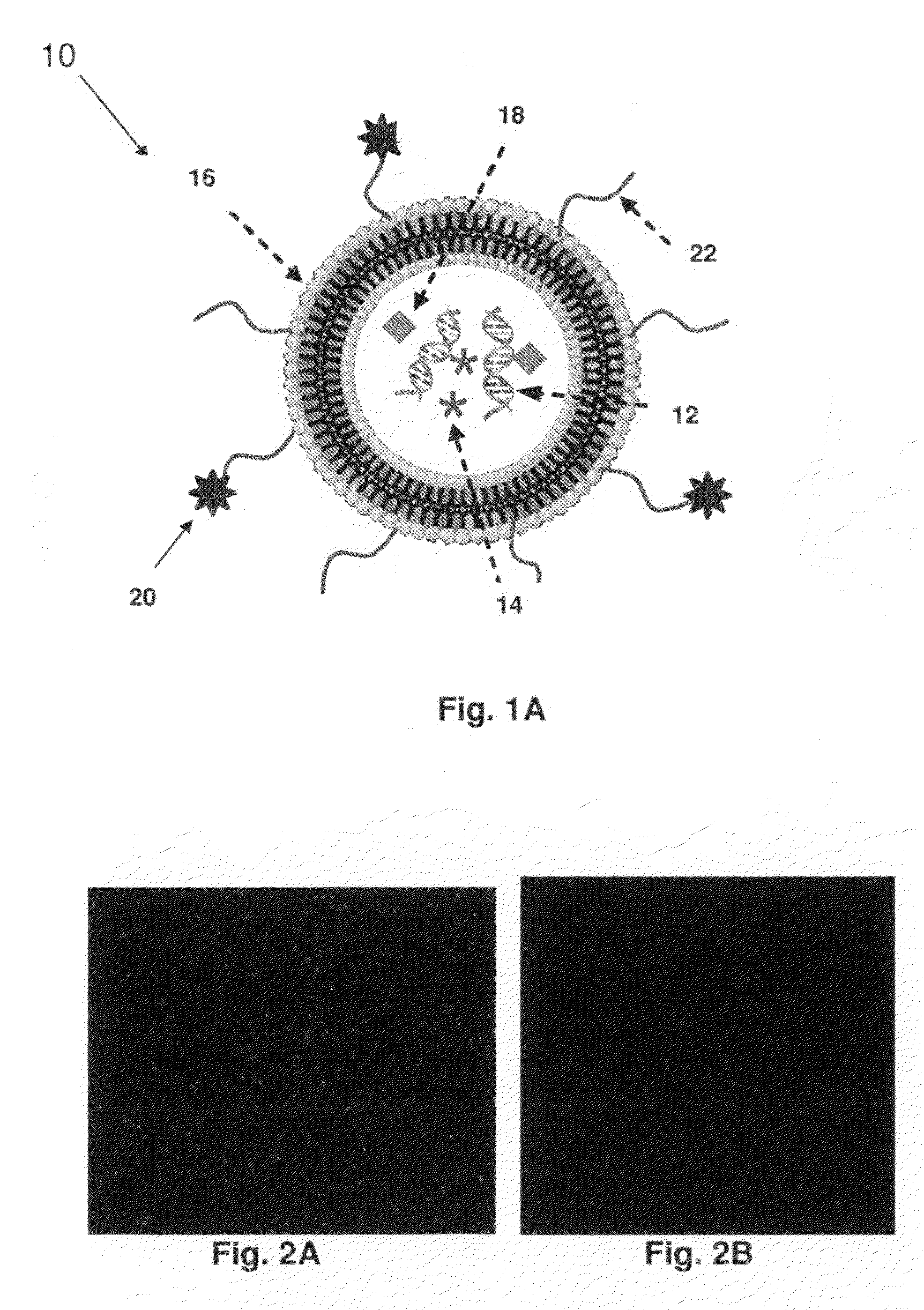 Lipid Nanoparticle Compositions and Methods of Making and Using the Same