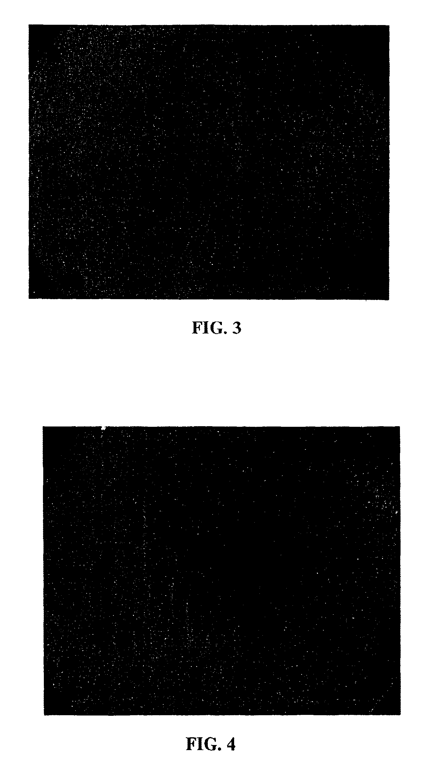 Method of making a composite article comprising a ceramic coating