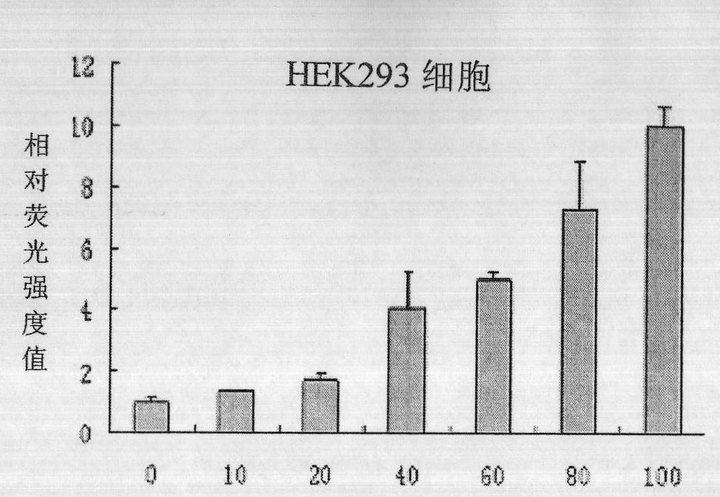 Human CTRP4 gene, its coding protein and their application