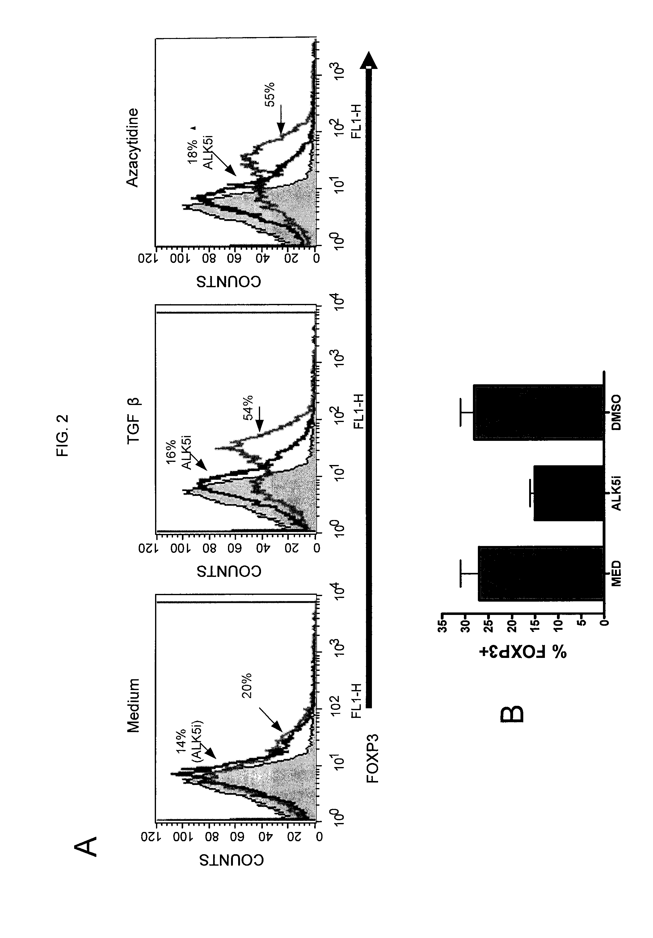 Methods and compositions for accelerating the generation of regulatory t cells ex vivo