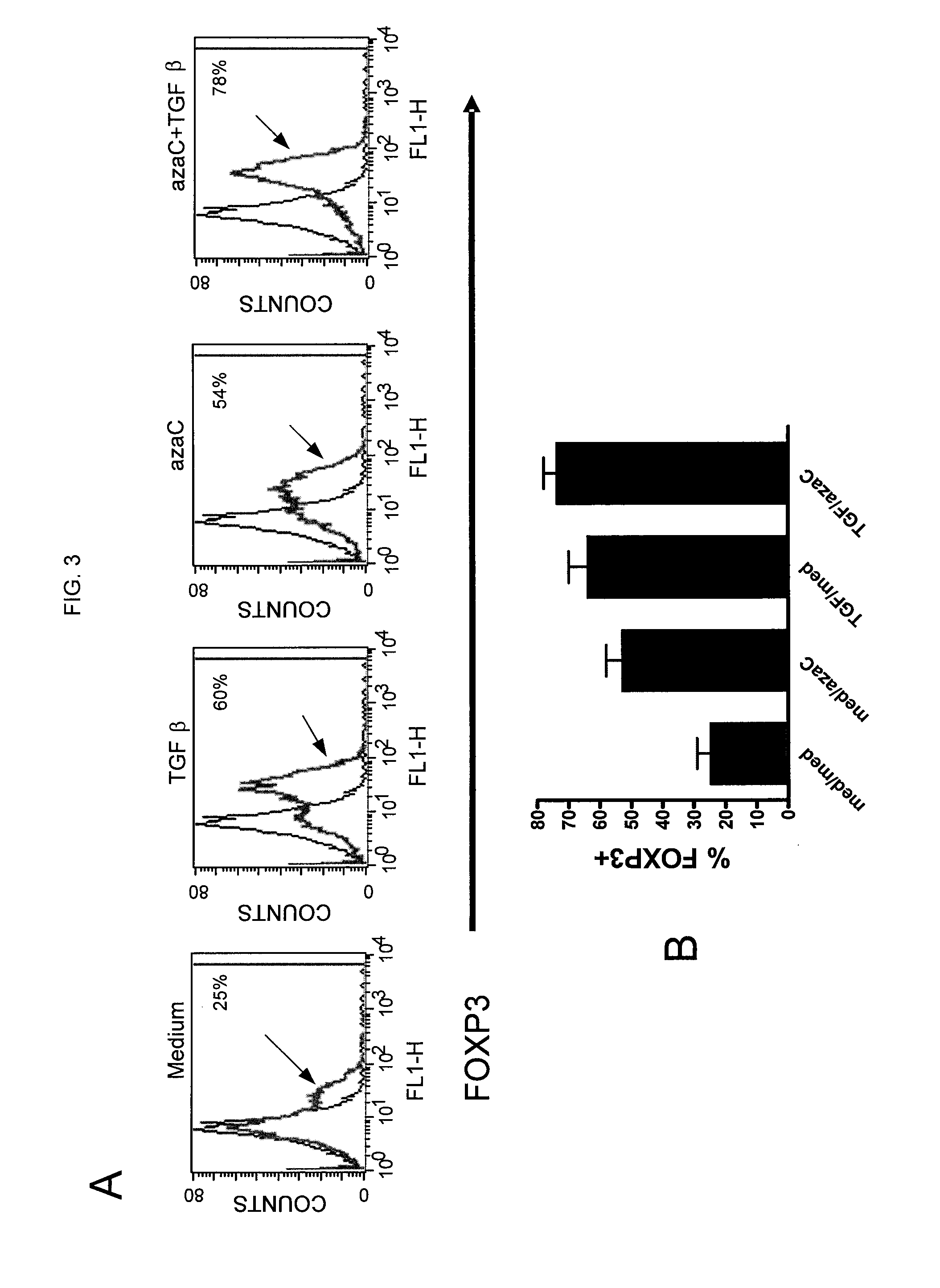 Methods and compositions for accelerating the generation of regulatory t cells ex vivo