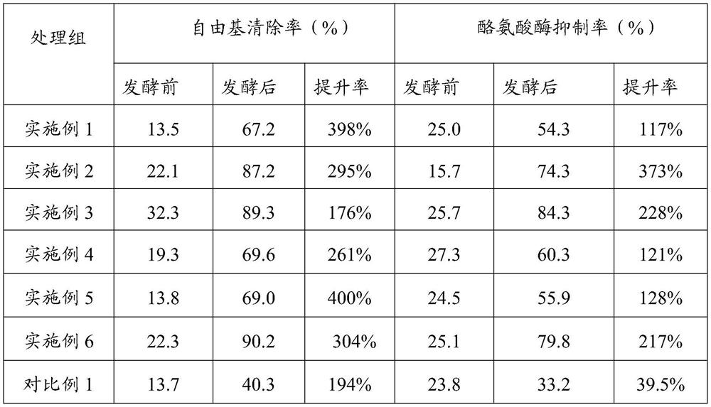 Dendrobium fermentation product and preparation method and application thereof