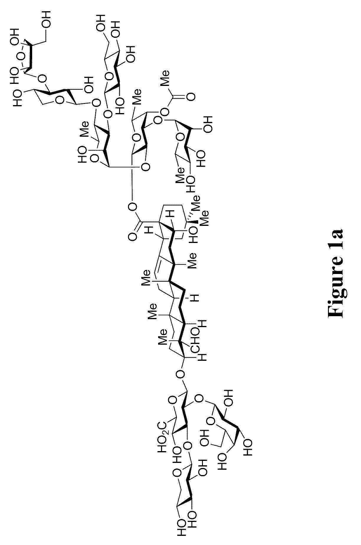 Triterpene saponins, methods of synthesis, and uses thereof