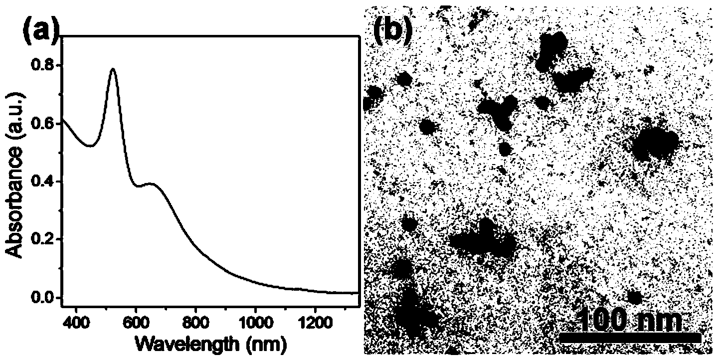 Polymer-coated gold nanoparticle chain compound, preparation method and applications thereof