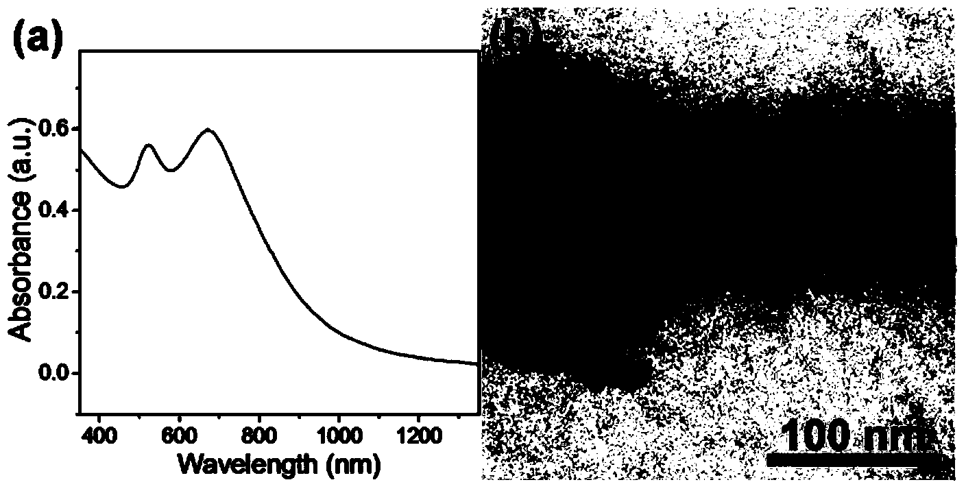Polymer-coated gold nanoparticle chain compound, preparation method and applications thereof