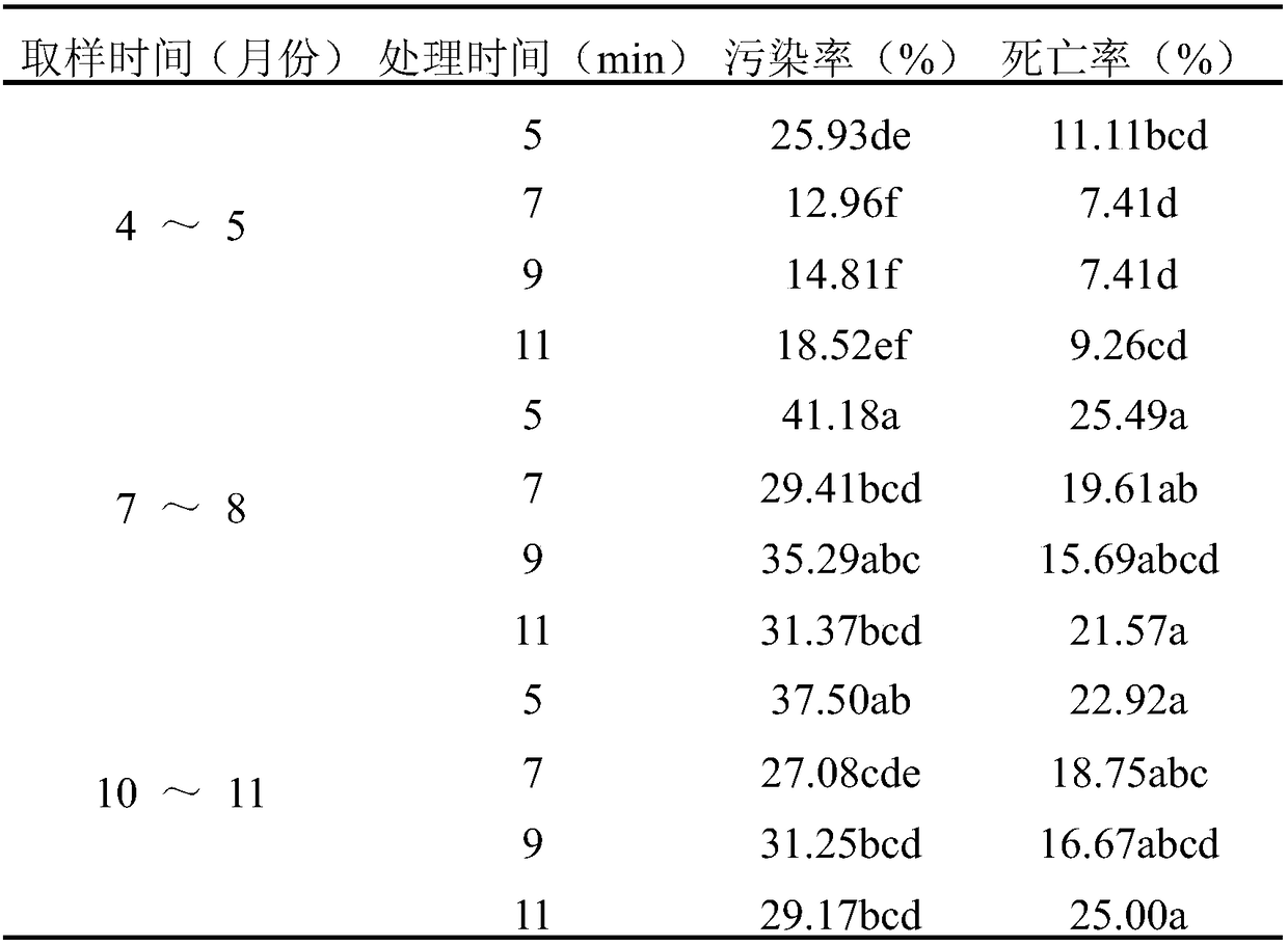 A kind of method for anti-browning and tissue culture proliferation of Tokyo Sizhaohua