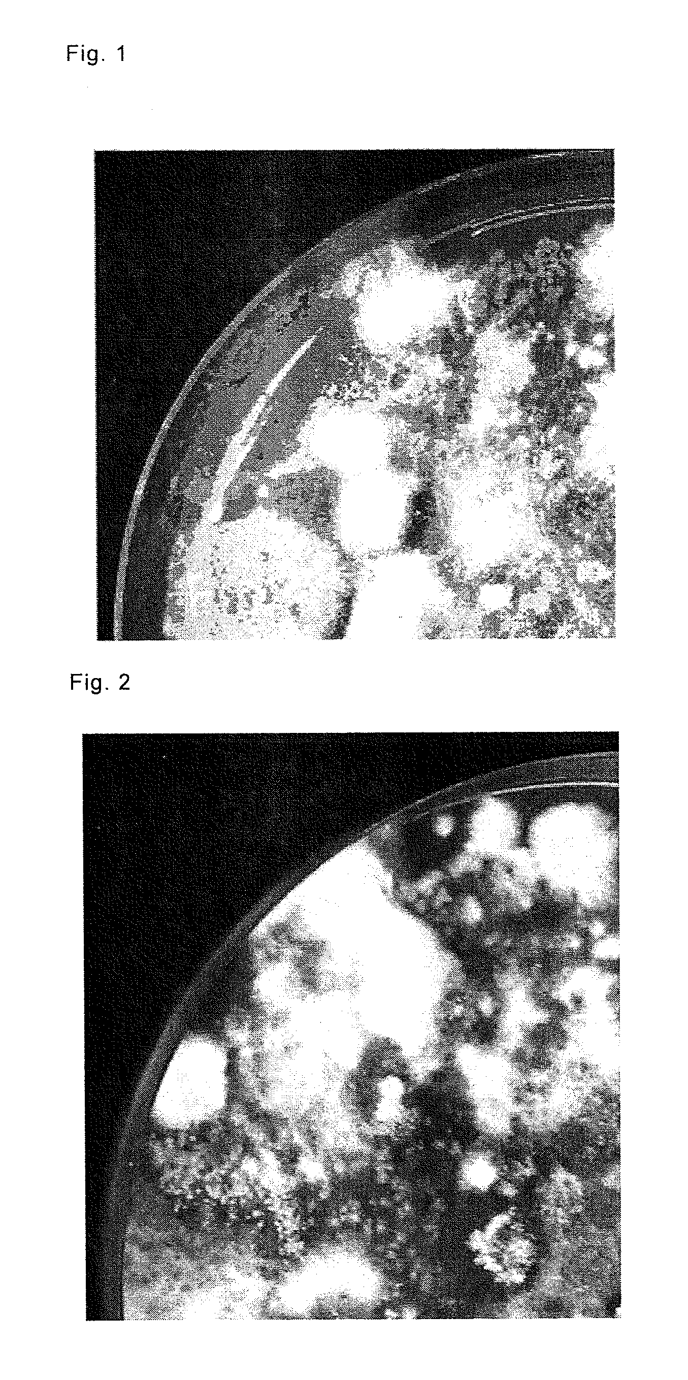 Method for producing selective medium and use thereof