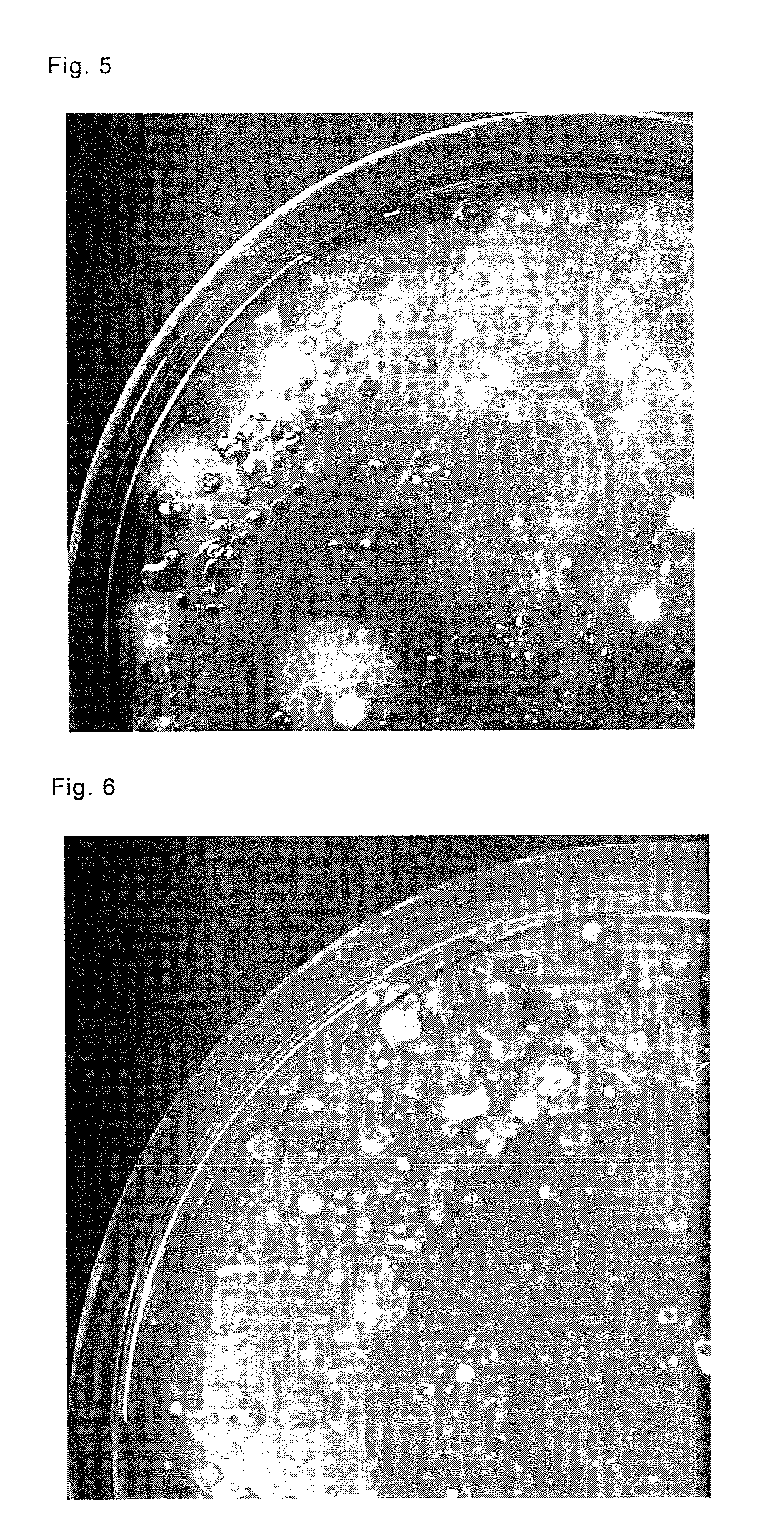 Method for producing selective medium and use thereof