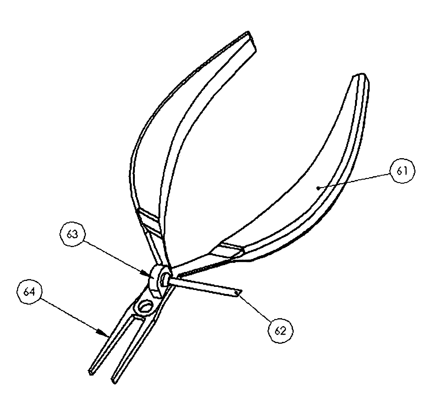 Apparatus and procedure for fish pin boning
