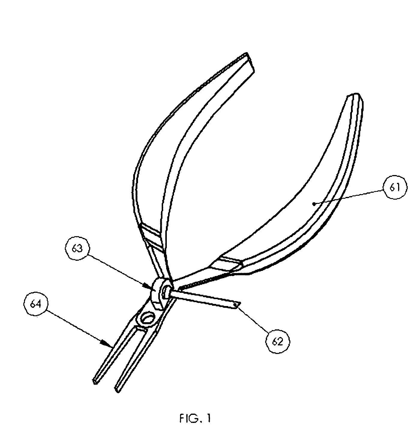 Apparatus and procedure for fish pin boning