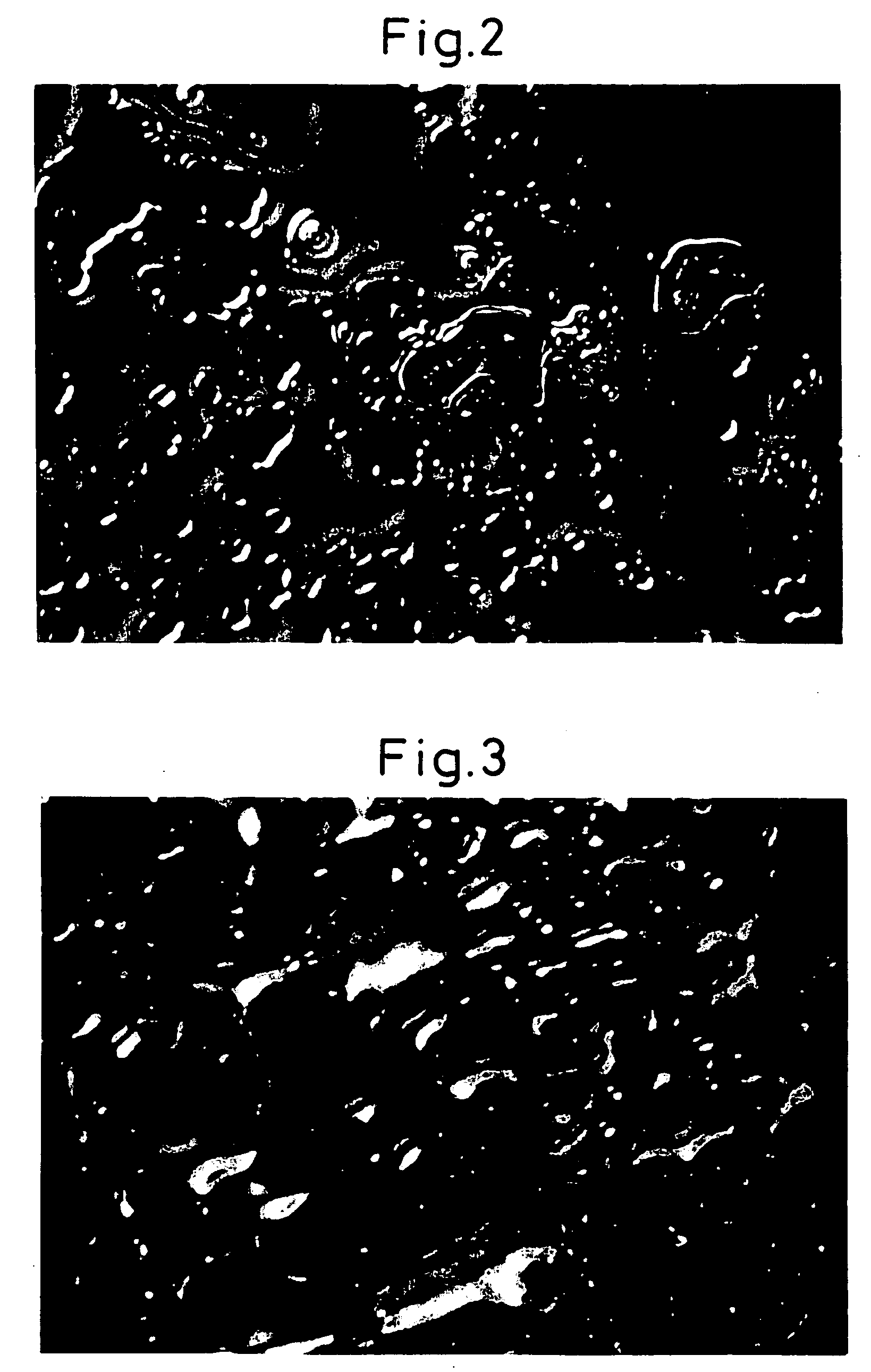 Optical measurement substrate and fabrication method for the same