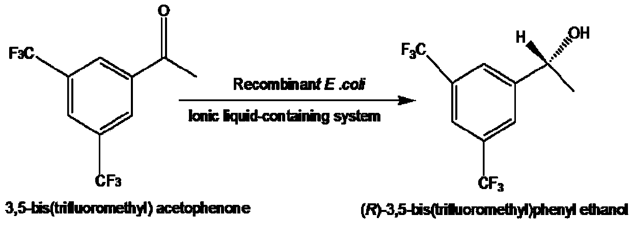 Method for preparing (R)-3,5-bis(trifluoromethyl)phenethyl alcohol in ionic liquid-containing cosolvent medium