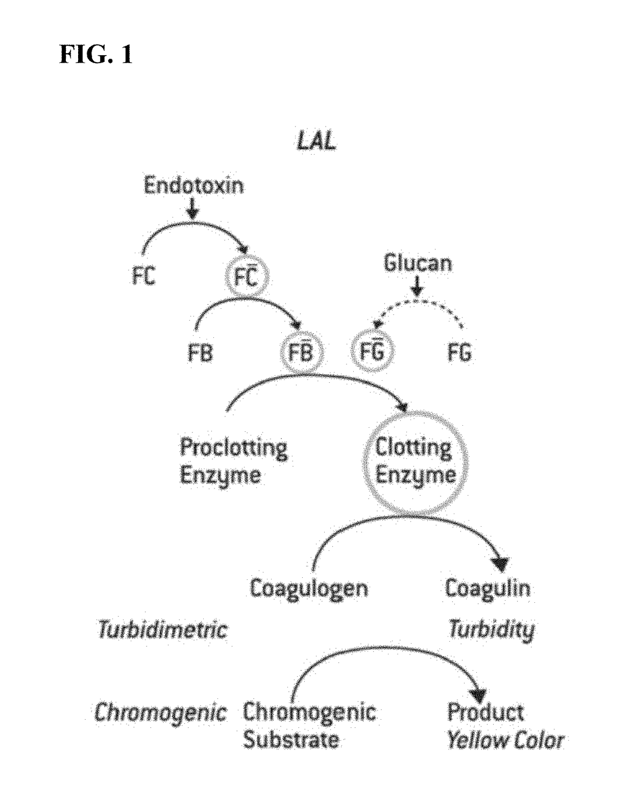 Method of Detecting an Endotoxin Using Limulus Amebocyte Lysate Substantially Free of Coagulogen