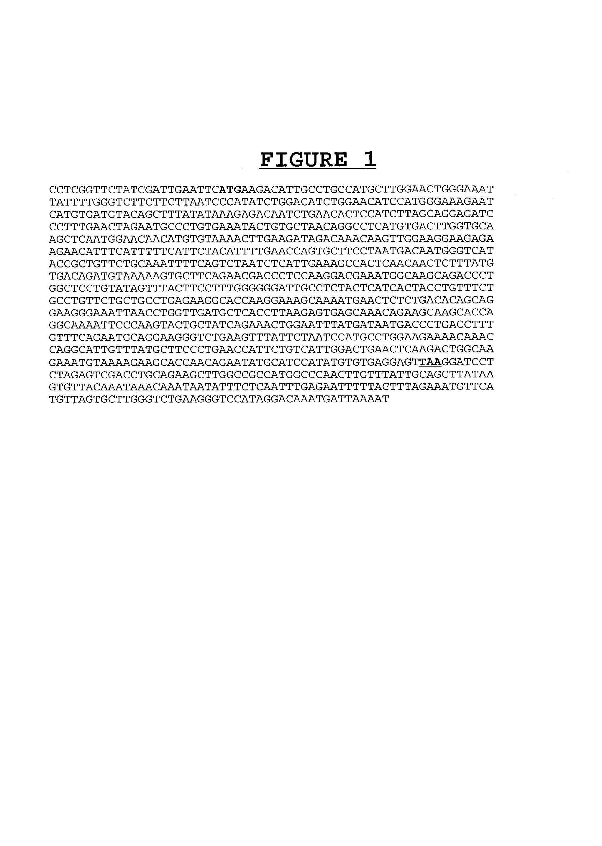 Nucleic acids encoding an immune related polypeptide