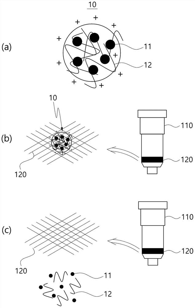 Method for extracting microvesicles from biological sample