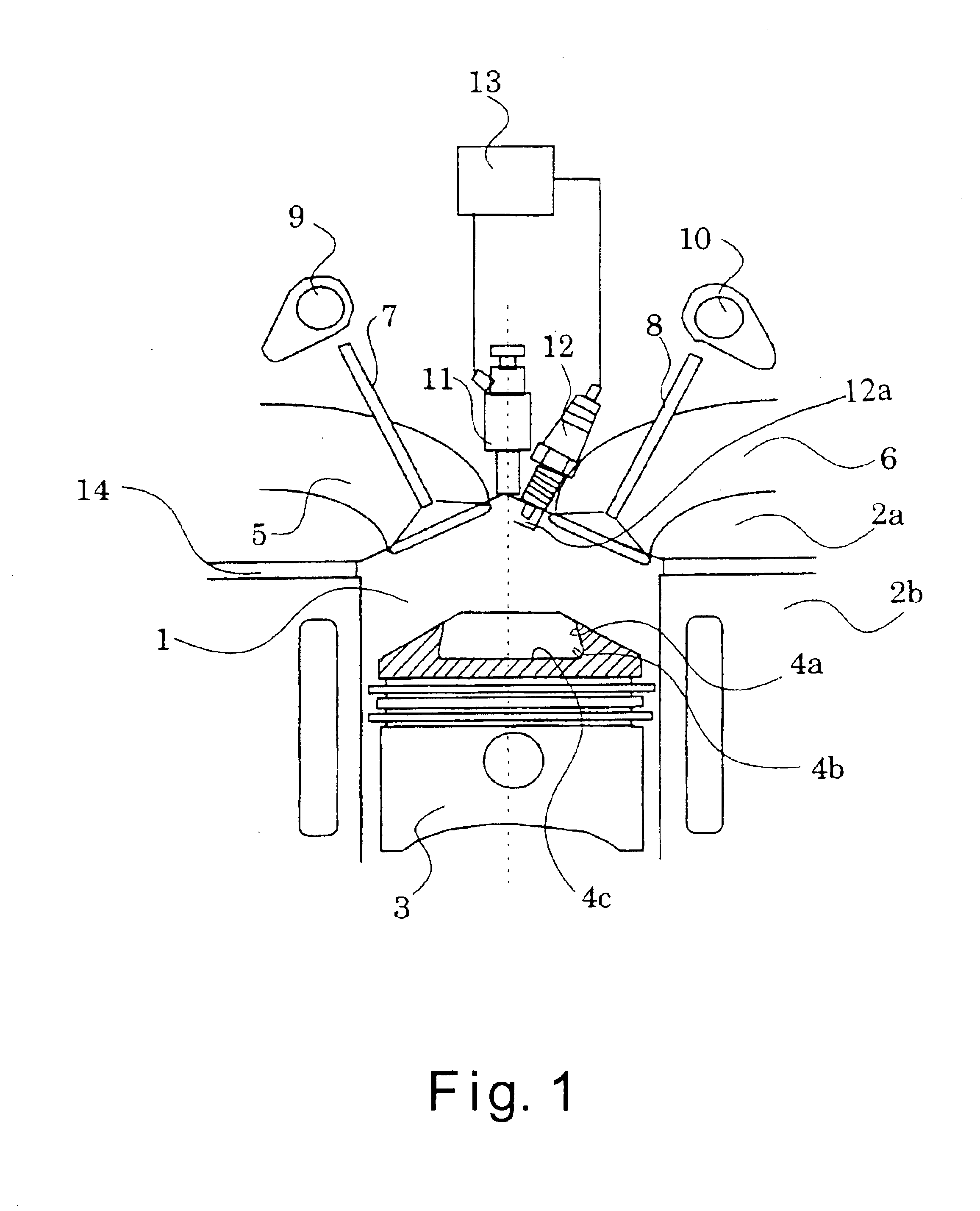 Direct fuel injection engine