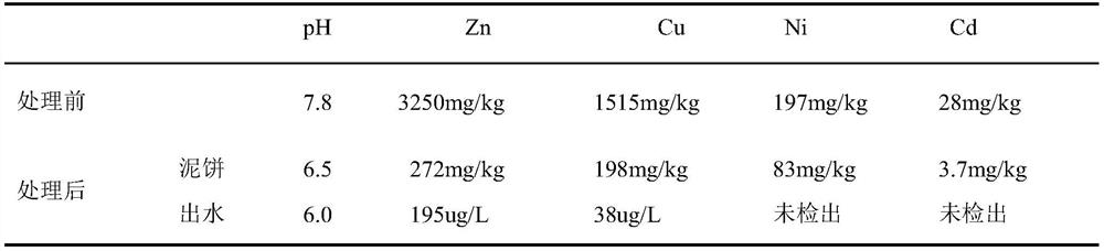 A treatment method for the removal and recovery of heavy metals in wastewater sludge based on biosulfur cycle