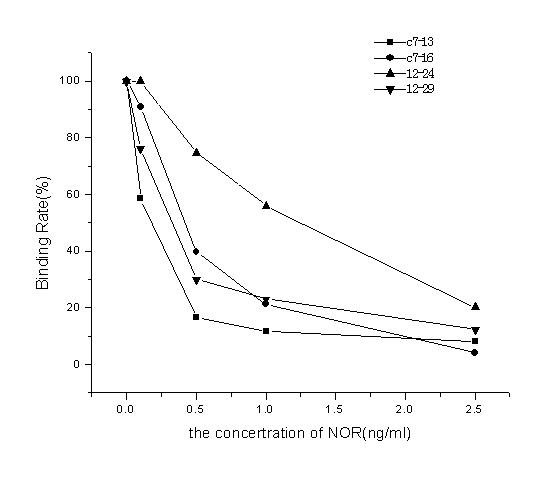 Antigenic mimic epitope C of norfloxacin and application thereof