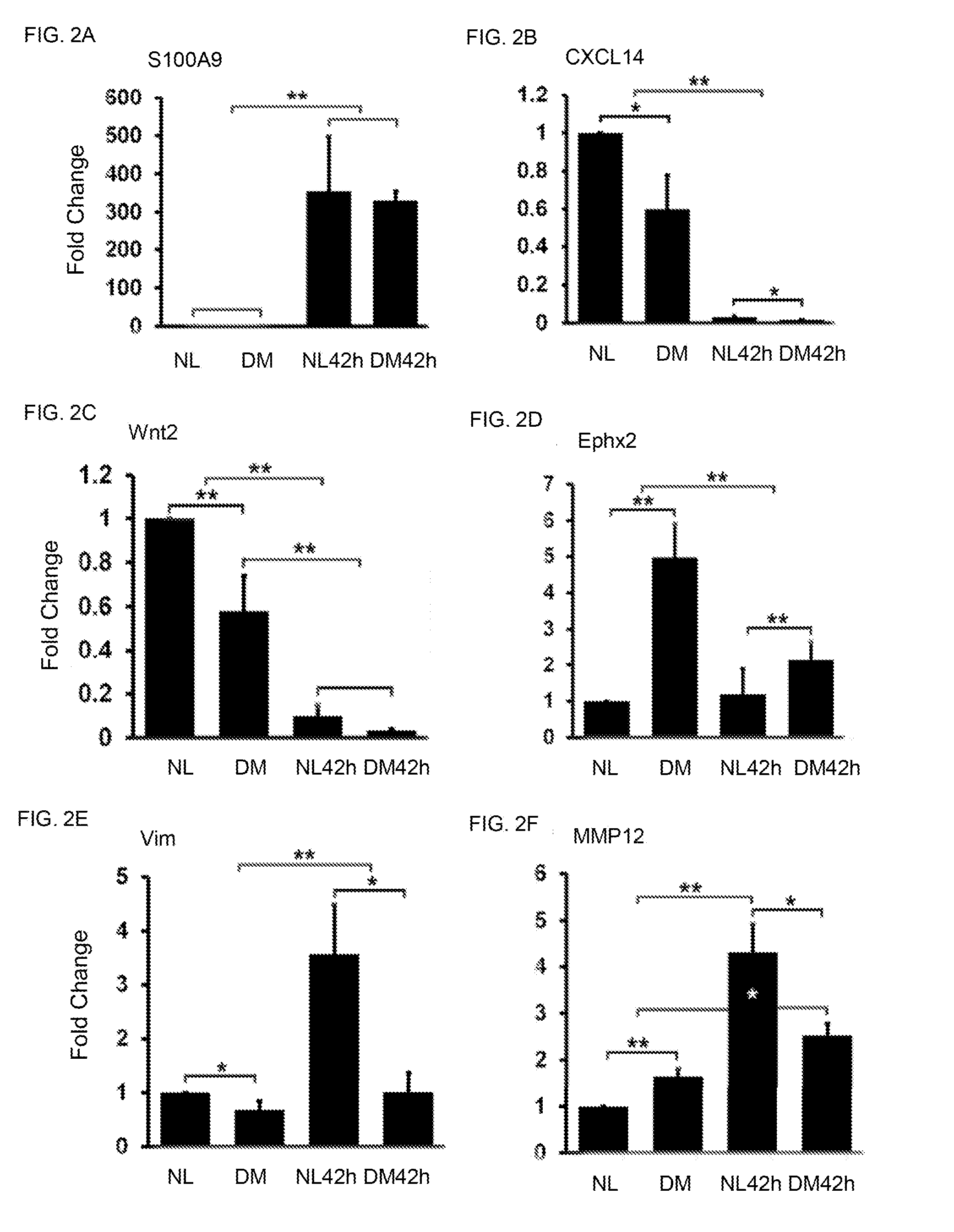 Compositions and methods to diagnose diabetes and/or to treat negative effects of diabetes
