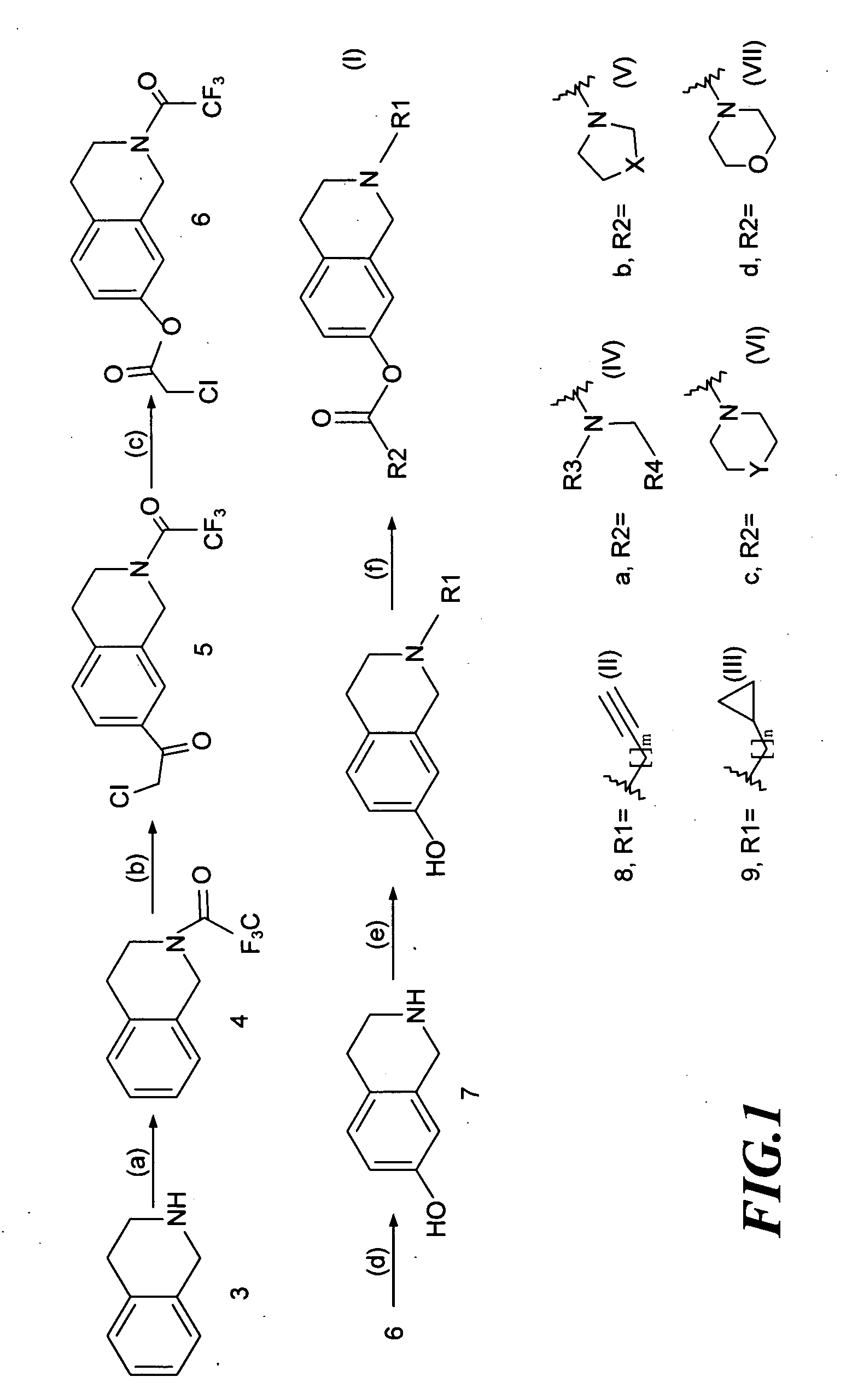1,2,3,4-Tetrahydroisoquinoline Derivatives, Preparation Process therefor and Pharmaceutical Composition Containing the Same