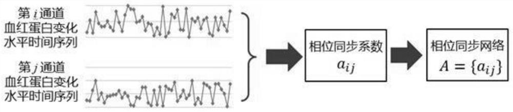 An analysis system for children with autism spectrum disorders based on near-infrared brain imaging atlas features