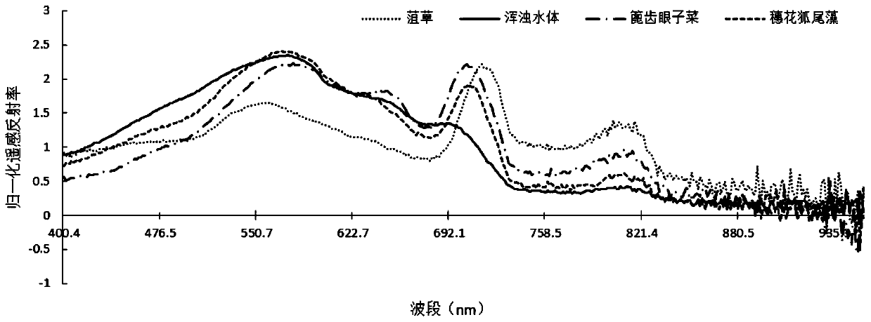 A remote sensing monitoring method and device for water quality parameters of shallow grass-shaped lakes