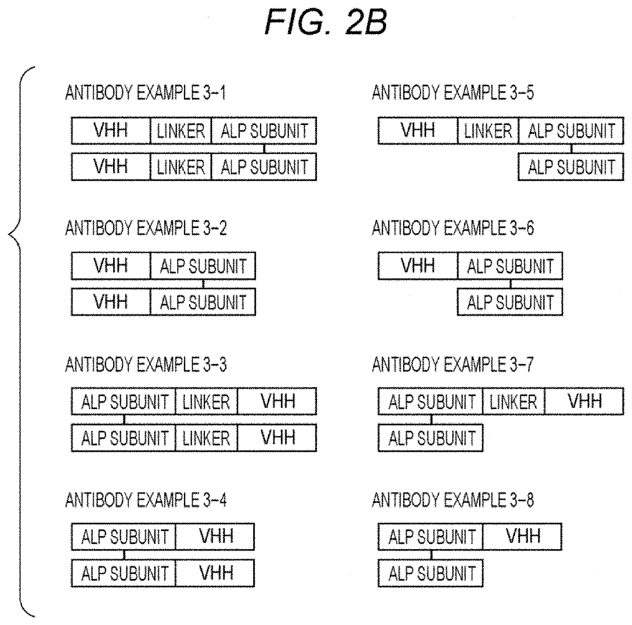 Alkaline phosphatase fusion antibody and method for producing the same, and immunoassay method