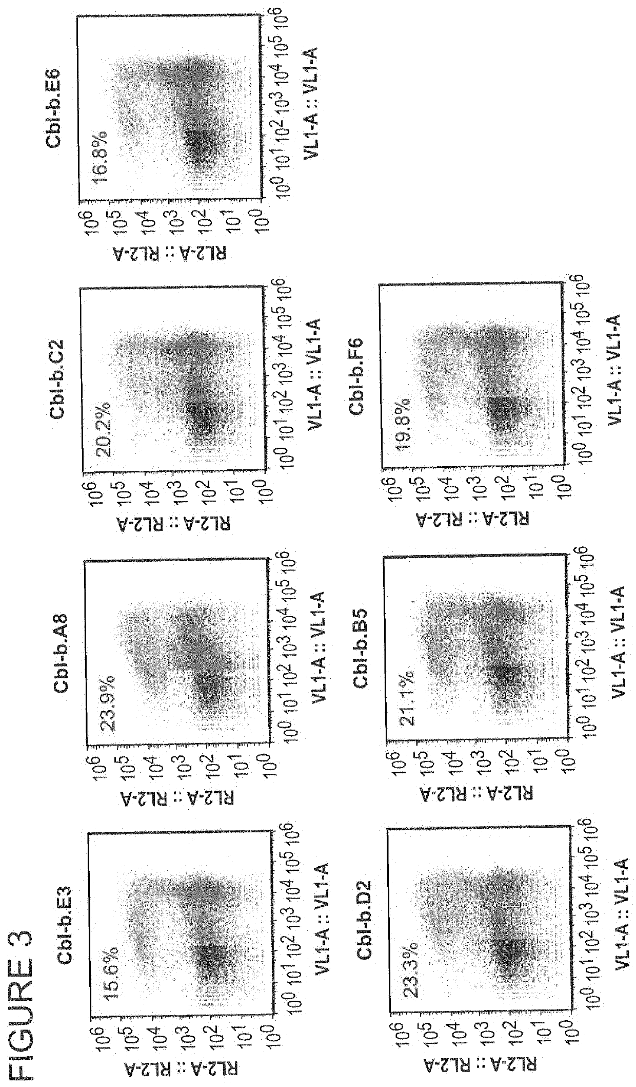 Cblb endonuclease variants, compositions, and methods of use