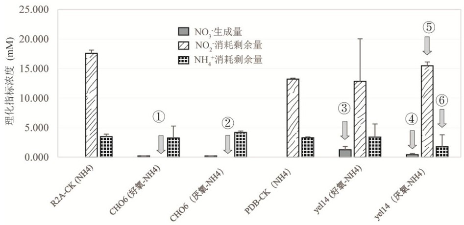 Denitrification microbial agent with broad-spectrum dissolved oxygen and organic carbon tolerance and application thereof