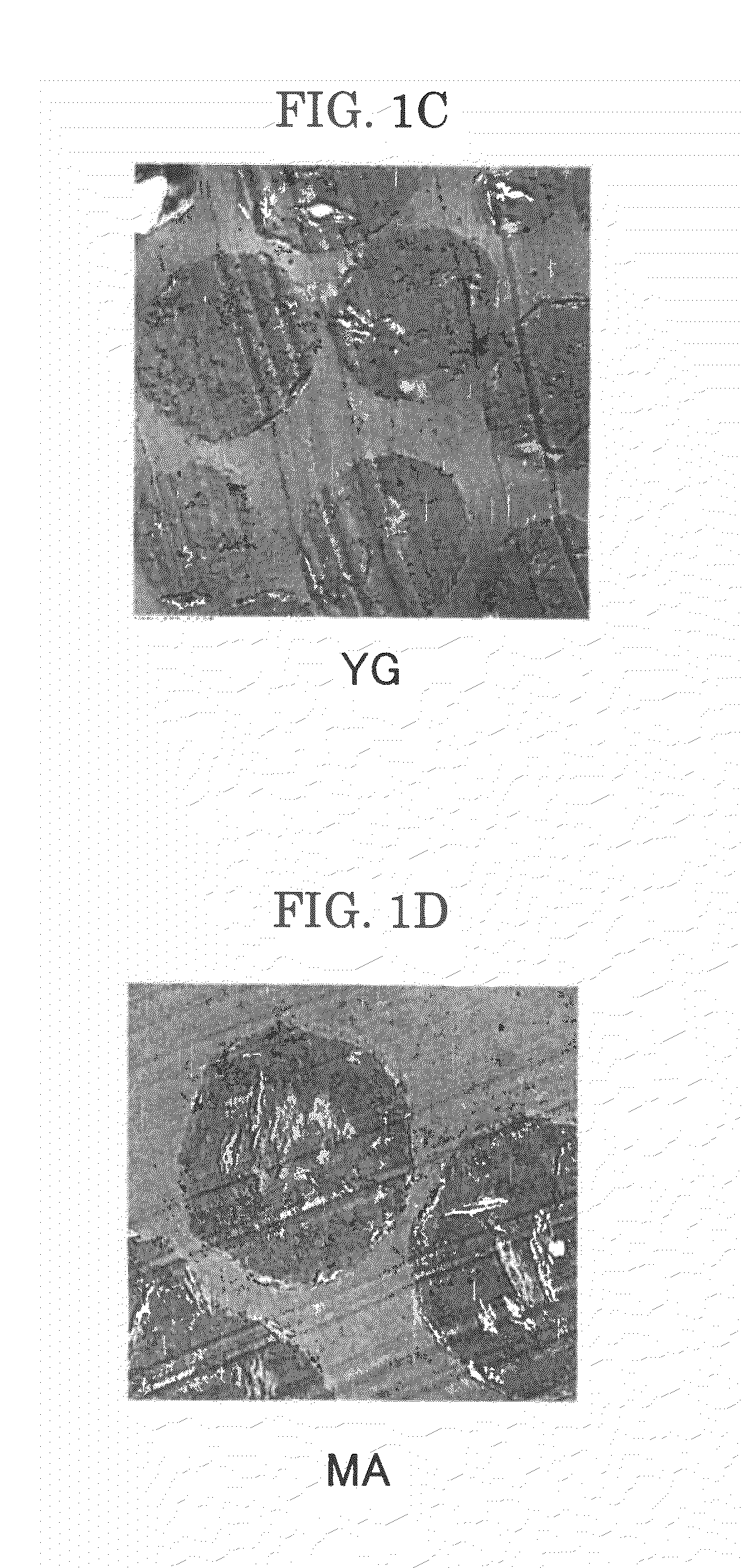 Toner, method for producing the same, and developer