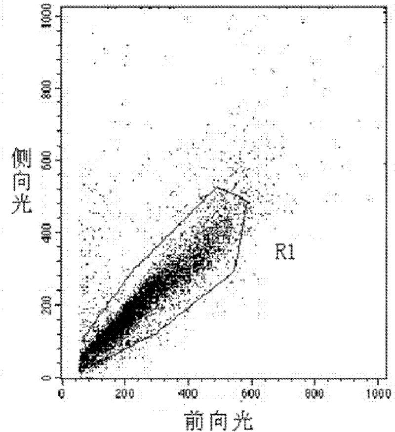 Method for detecting activity of abdominal cavity phagocytic cells by flow cytometry