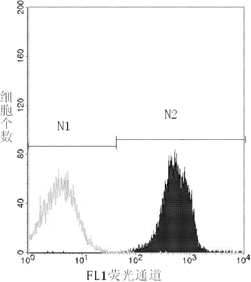 Method for detecting activity of abdominal cavity phagocytic cells by flow cytometry